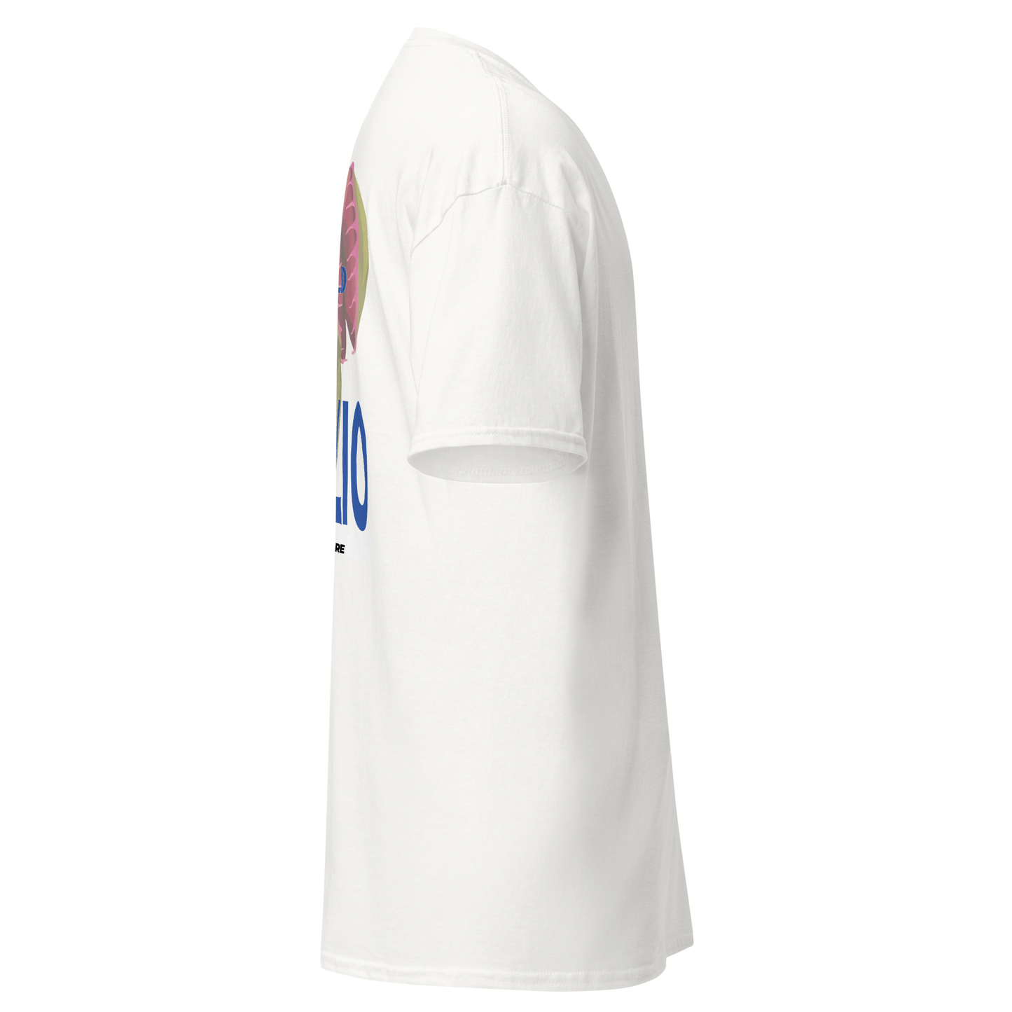Ti Voglio